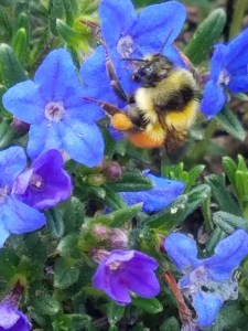 20170508 145715 resized