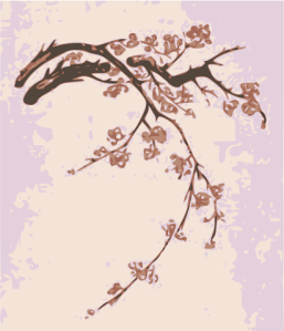 plumblossoms